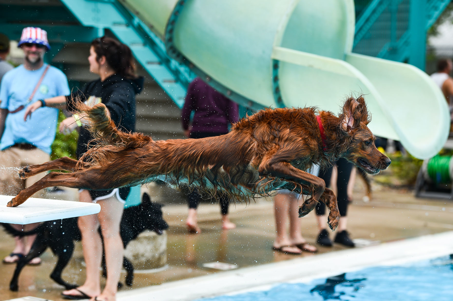 082919-bet-doggysplash-143a.JPG